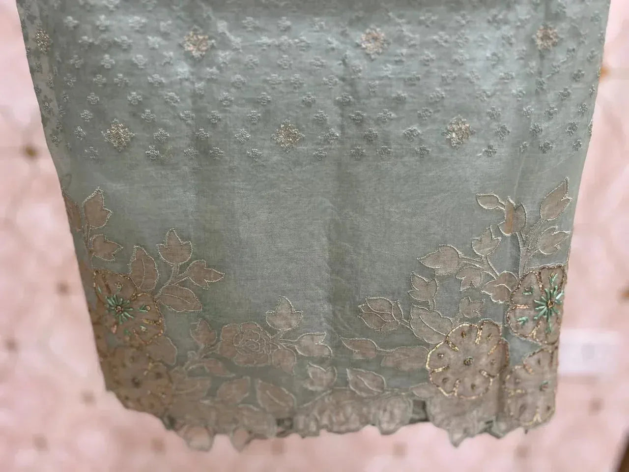 Organza Saree with Applique and Pitta Work