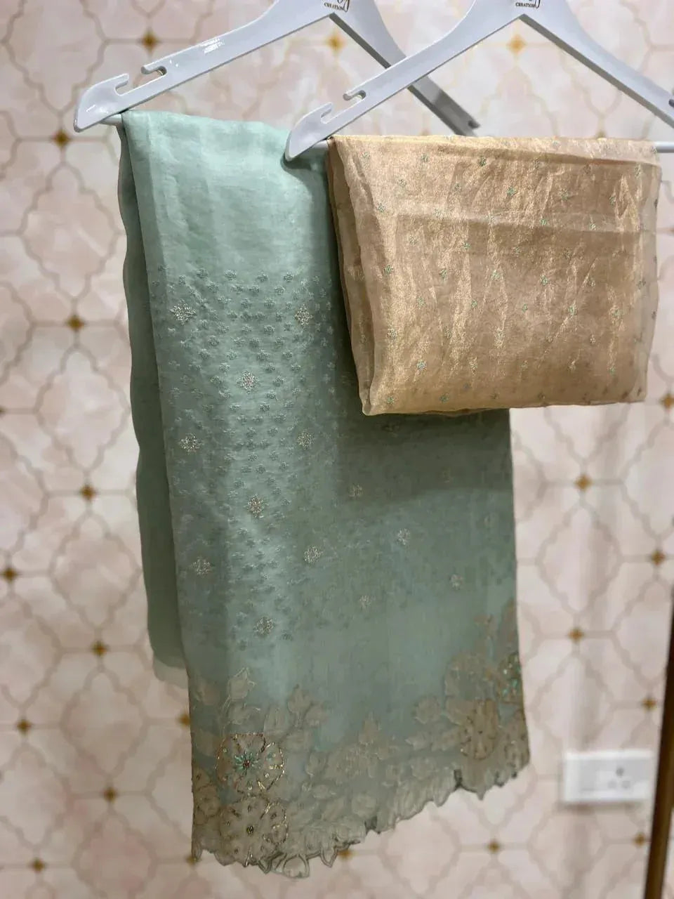 Organza Saree with Applique and Pitta Work