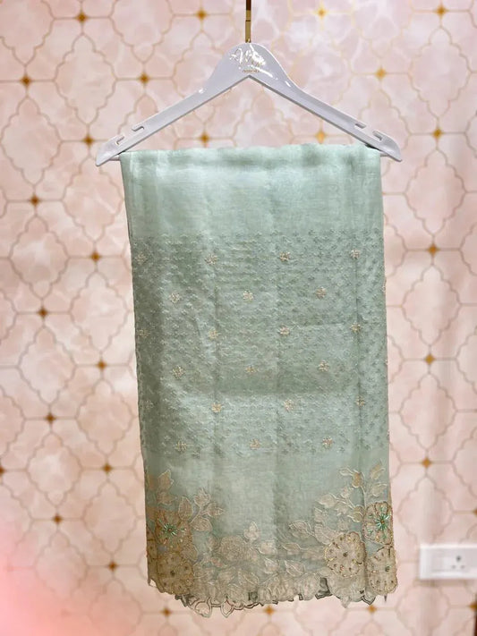 organza saree with applique and pitta work