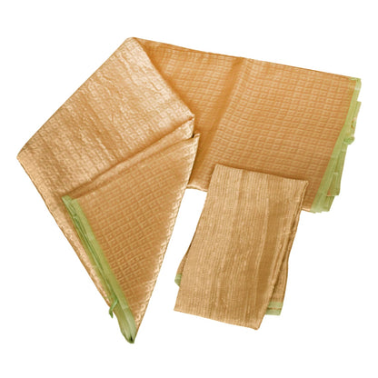 Mint Green Tissue Silk Saree With Zari Work